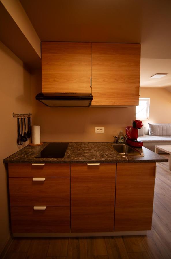 Sport Apartments Радовлица Экстерьер фото